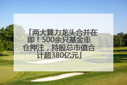 两大算力龙头合并在即！500余只基金重仓押注，持股总市值合计超380亿元