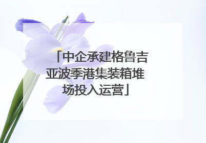 中企承建格鲁吉亚波季港集装箱堆场投入运营