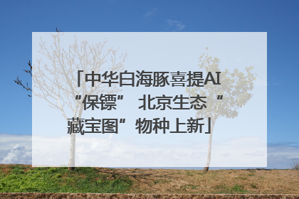 中华白海豚喜提AI“保镖” 北京生态“藏宝图”物种上新