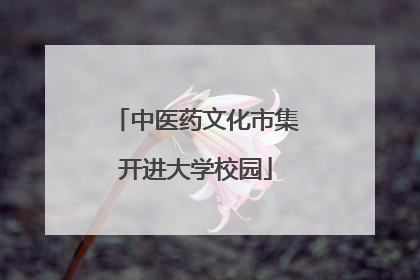 中医药文化市集开进大学校园