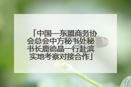 中国—东盟商务协会总会中方秘书处秘书长鹿德晶一行赴滨实地考察对接合作