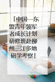 中国—东盟青年领军者成长计划研修班赴柳州三江多地研学考察