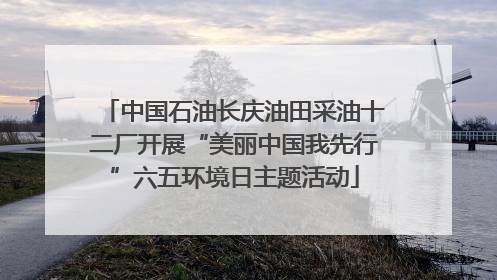 中国石油长庆油田采油十二厂开展“美丽中国我先行”六五环境日主题活动