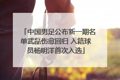 中国男足公布新一期名单武磊伤愈回归 入籍球员杨明洋首次入选
