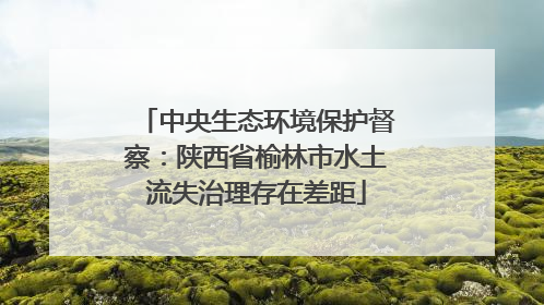 中央生态环境保护督察：陕西省榆林市水土流失治理存在差距