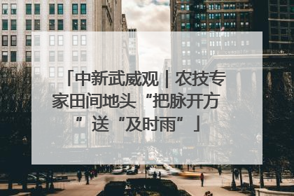 中新武威观｜农技专家田间地头“把脉开方”送“及时雨”