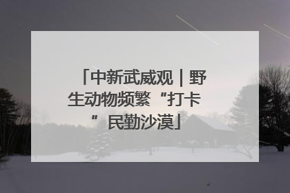 中新武威观｜野生动物频繁“打卡”民勤沙漠