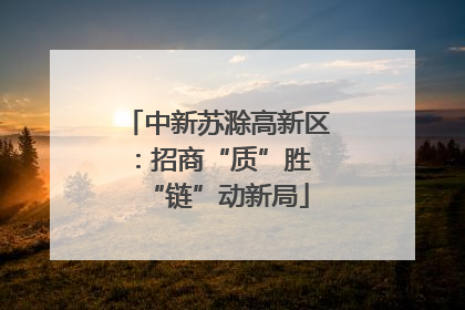 中新苏滁高新区：招商“质”胜 “链”动新局