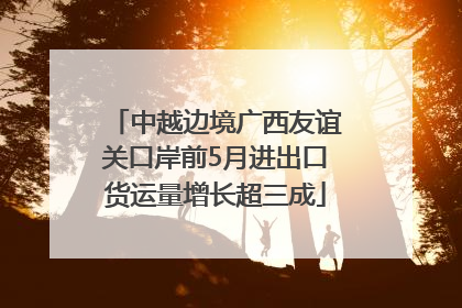 中越边境广西友谊关口岸前5月进出口货运量增长超三成