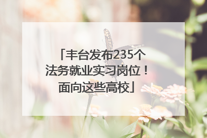 丰台发布235个法务就业实习岗位！面向这些高校