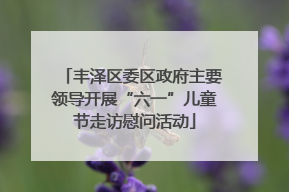 丰泽区委区政府主要领导开展“六一”儿童节走访慰问活动