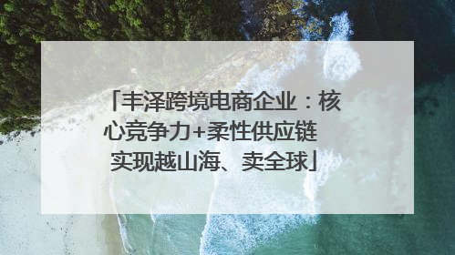 丰泽跨境电商企业：核心竞争力+柔性供应链 实现越山海、卖全球
