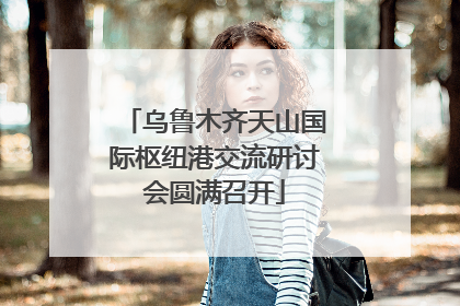 乌鲁木齐天山国际枢纽港交流研讨会圆满召开