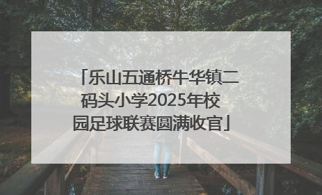 乐山五通桥牛华镇二码头小学2025年校园足球联赛圆满收官
