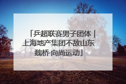 乒超联赛男子团体｜上海地产集团不敌山东魏桥·向尚运动
