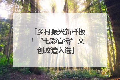 乡村振兴新样板！“七彩官畲”文创改造入选