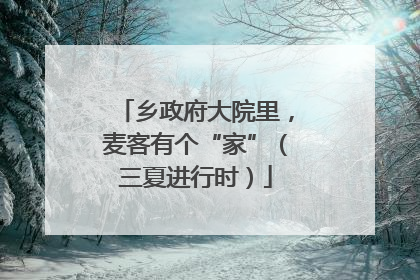 乡政府大院里，麦客有个“家”（三夏进行时）