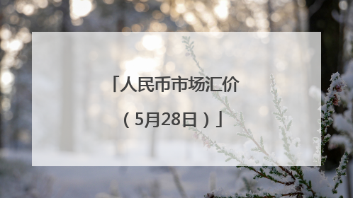 人民币市场汇价（5月28日）