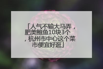 人气不输大马弄，肥美鲍鱼10块3个，杭州市中心这个菜市便宜好逛