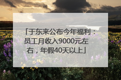 于东来公布今年福利：员工月收入9000元左右，年假40天以上