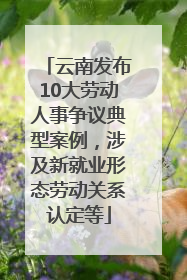 云南发布10大劳动人事争议典型案例，涉及新就业形态劳动关系认定等