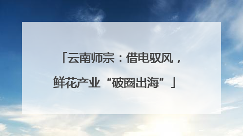 云南师宗：借电驭风，鲜花产业“破圈出海”