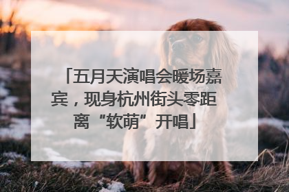 五月天演唱会暖场嘉宾，现身杭州街头零距离“软萌”开唱