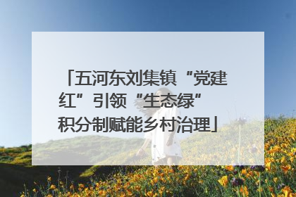 五河东刘集镇“党建红”引领“生态绿” 积分制赋能乡村治理