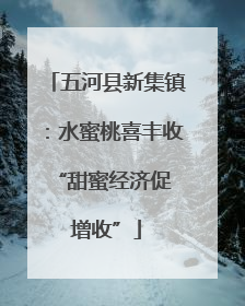 五河县新集镇：水蜜桃喜丰收 “甜蜜经济促增收”