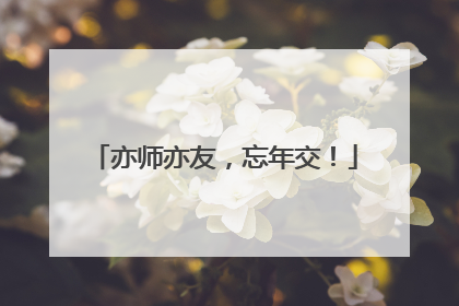 亦师亦友，忘年交！