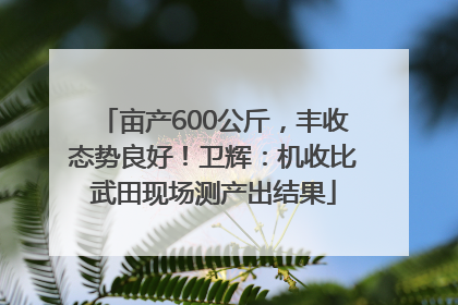 亩产600公斤，丰收态势良好！卫辉：机收比武田现场测产出结果
