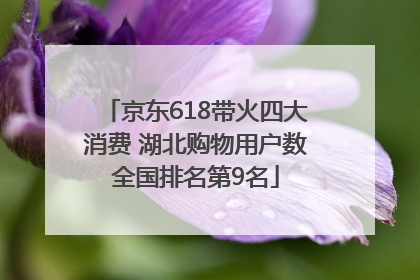 京东618带火四大消费 湖北购物用户数全国排名第9名