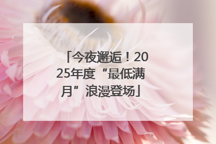今夜邂逅！2025年度“最低满月”浪漫登场
