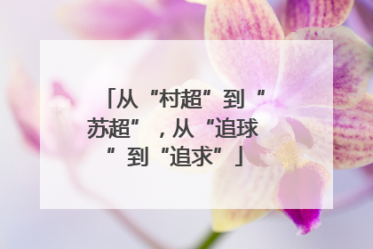 从“村超”到“苏超”，从“追球”到“追求”