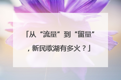 从“流量”到“留量”，新民歌湖有多火？