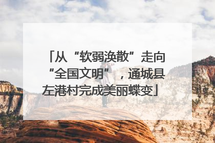 从“软弱涣散”走向“全国文明”，通城县左港村完成美丽蝶变