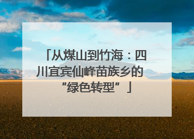 从煤山到竹海：四川宜宾仙峰苗族乡的“绿色转型”