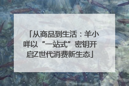 从商品到生活：羊小咩以“一站式”密钥开启Z世代消费新生态