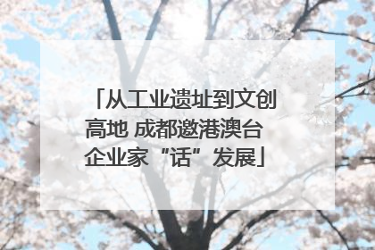 从工业遗址到文创高地 成都邀港澳台企业家“话”发展