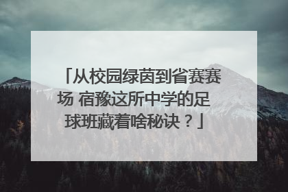 从校园绿茵到省赛赛场 宿豫这所中学的足球班藏着啥秘诀？