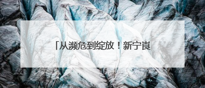 从濒危到绽放！新宁崀山600株“国宝兰”获省级生物保护嘉奖