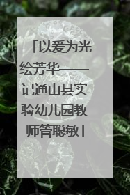 以爱为光绘芳华——记通山县实验幼儿园教师管聪敏
