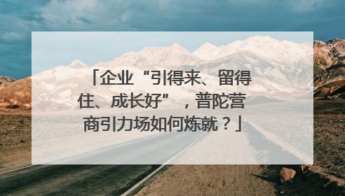 企业“引得来、留得住、成长好”，普陀营商引力场如何炼就？
