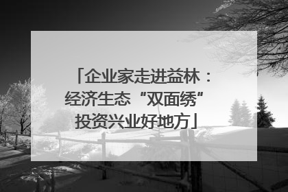 企业家走进益林：经济生态“双面绣” 投资兴业好地方