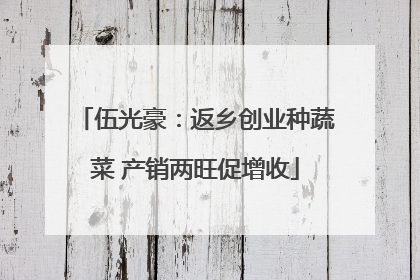 伍光豪：返乡创业种蔬菜 产销两旺促增收