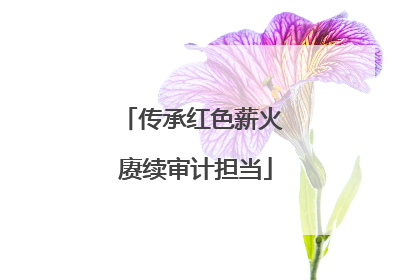 传承红色薪火 赓续审计担当