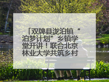 双牌县泷泊镇“泊梦计划”乡镇学堂开讲！联合北京林业大学共筑乡村教育新未来