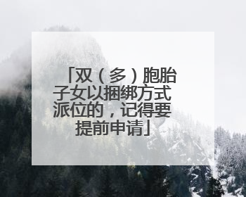 双（多）胞胎子女以捆绑方式派位的，记得要提前申请