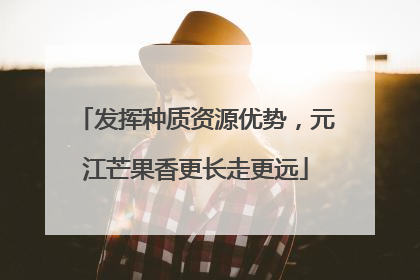发挥种质资源优势，元江芒果香更长走更远