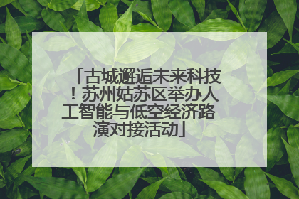 古城邂逅未来科技！苏州姑苏区举办人工智能与低空经济路演对接活动